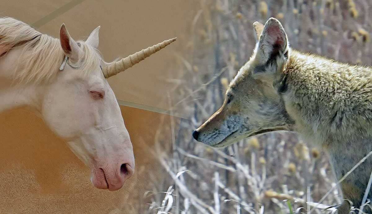 7 Mythical Creatures with Real Life Roots