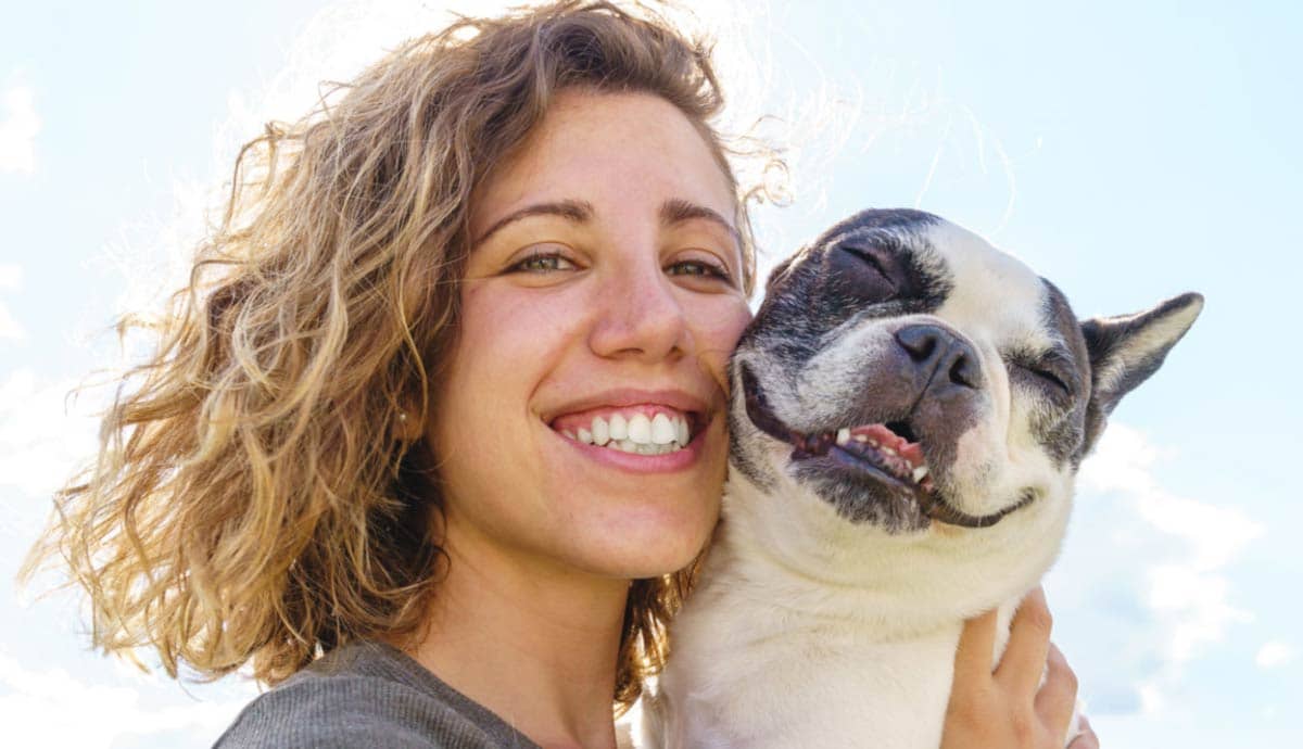 4 Reasons Not to Buy That Movie Star Dog