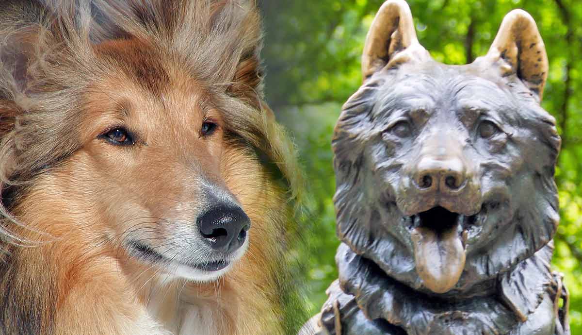 Top Pups: The World’s Most Famous Dogs