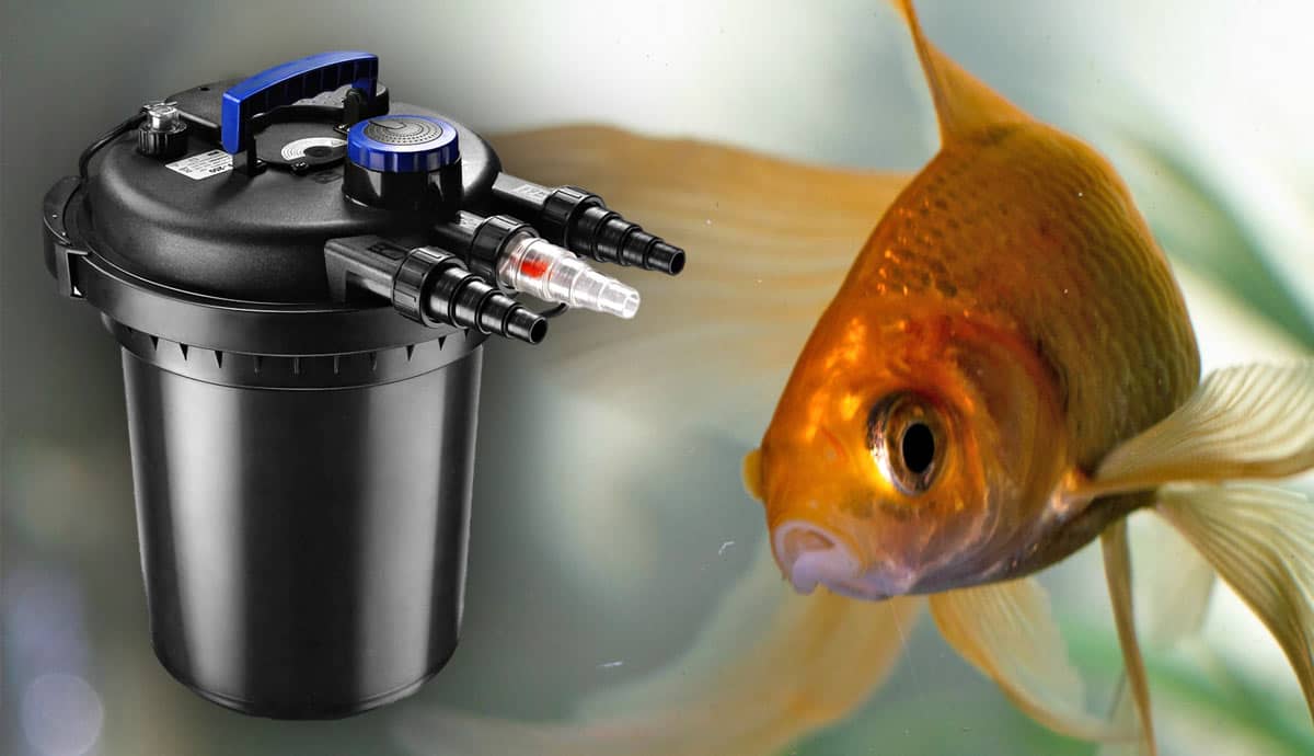 What Size Filter Do I Need for My Fish Tank?